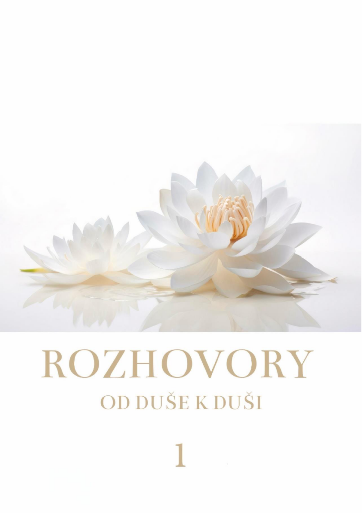 ROZHOVORY kapitola I