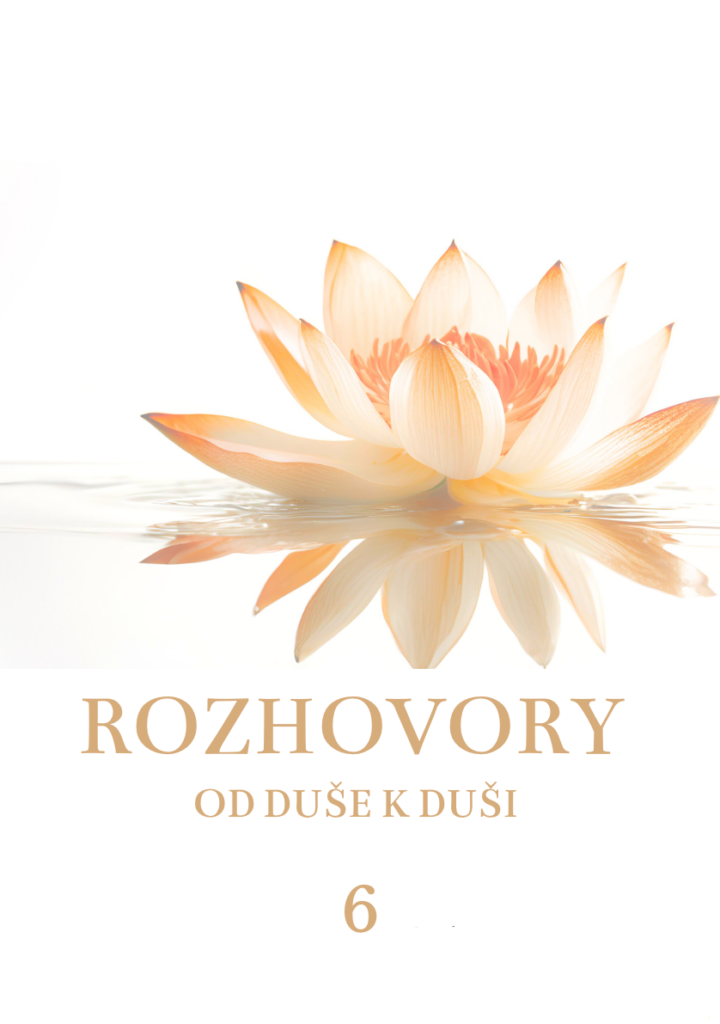 ROZHOVORY kapitola VI