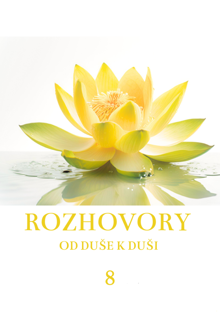 ROZHOVORY kapitola VIII